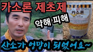 엄마 묘소가 엉망이 되었어요ㅠㅠ 제초제 사용법 알고 뿌립시다.