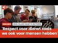 Zone.college maakt maatschappelijk kunstwerk genaamd “Animal Farm”