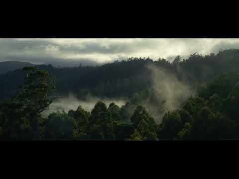 Andrew Bird - Improvisation On A Familiar Theme (Official Audio)