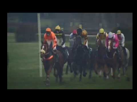 KO, 4. 11. 2017, 8. dostih - CENA SPOLEČNOSTI TEPOSTOP PŘELOUČ