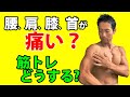 腰、膝、肩、肘が痛い？筋トレどうする？何をすればいいのか？十分しっかりトレーニング出来ます！