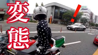 ZOZOスーツを着たライダー現る【モトブログ】