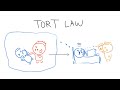 Tort Law in 3 Minutes