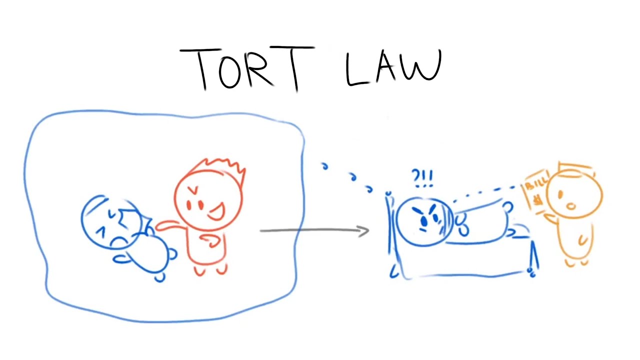 Tort Law in 3 Minutes