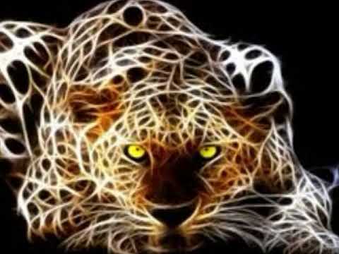 dj şenol gelde kıvırma vol3 süper