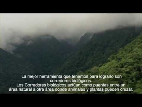 Sponsor Andrea to accept 2015 Hero Award!