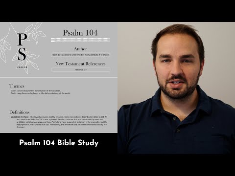Psalm 104 Summary: 5 Minute Bible Study
