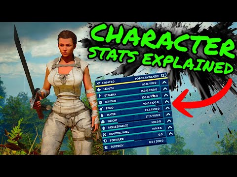 Character Statistics in Ark Survival Ascended Explained!! Hidden STATS, and OP STAT Builds!!