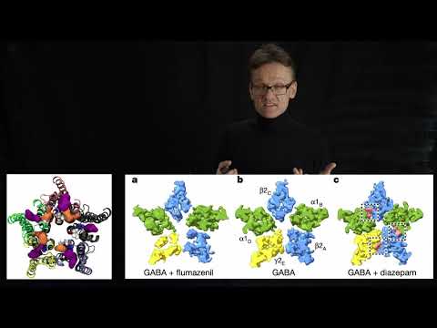 Lecture 06, concept 18: Example biological problems we can target