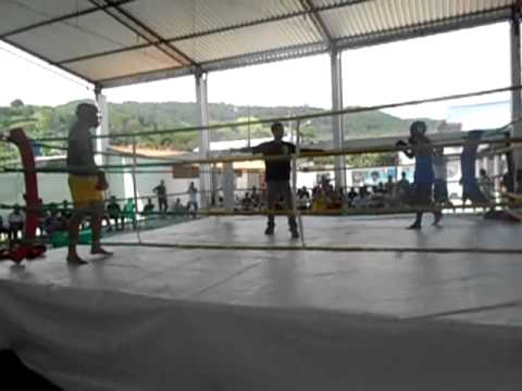 Pitbull Representando Ganhou De Nocaute !