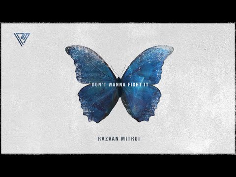 Razvan Mitroi - Don't Wanna Fight It (Official Lyric Video)