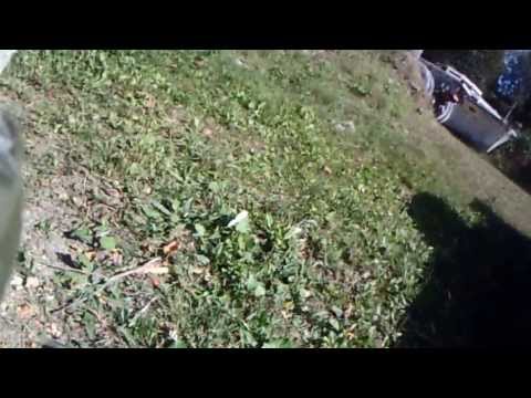 Commando Paintball Club Day - Naval Base