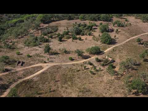 Mixed land, Santiago do Cacem