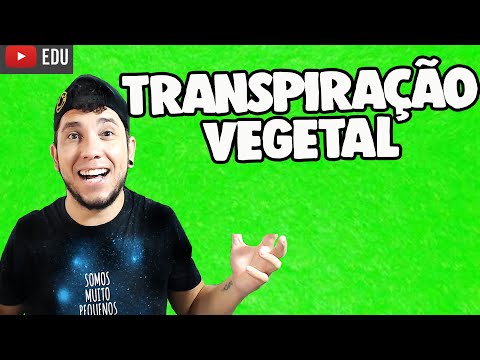 TRANSPIRAÇÃO VEGETAL│Prof. Patrick Gomes