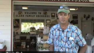 preview picture of video 'Clark Family Orchard - GJSentinel.com Agritourism Video'
