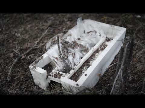 Roudasta rospuuttoon