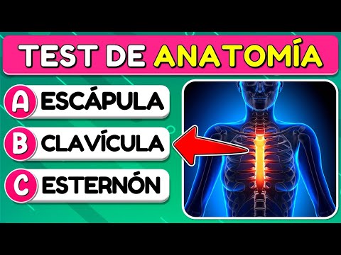 How much do you know about "ANATOMY"? 🫀🫁🧠 | QUIZ ON THE HUMAN BODY | Trivia/Quiz