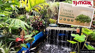 New Hydroponic Garden From TJ Maxx & De Cluttering The Grow space | Weird Evergreens | Saturday Vlog