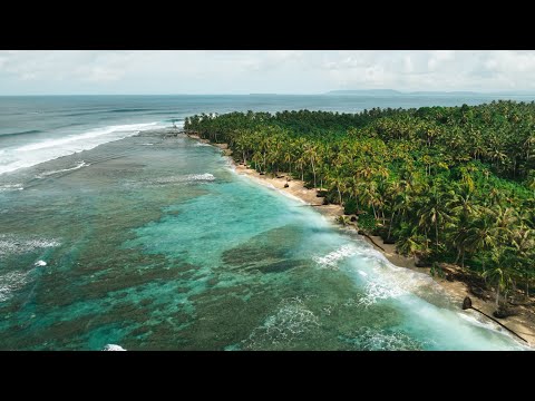 Bank Vaults - Sabbit Mentawai Surfcamp