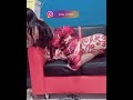 Goyang Ebot Sama Bantal Guling