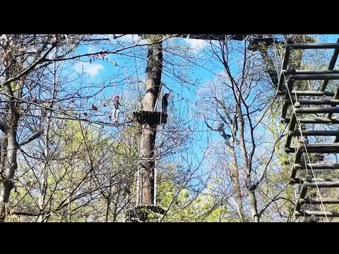 Most Beautiful challenging Forest  in Germany ! #Walderlebnispfad #Neroberg ! Fardina Youtuber
