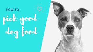 HOW TO PICK GOOD DOG FOOD (HOW TO READ DOG FOOD LABELS) // Veterinarian Dr. Lisa (2019)