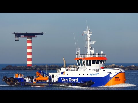 SHIPSPOTTING - Small Compilation 13 November 2022 ⚓