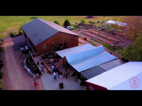 Airborne Perspectives video.