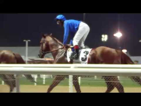 Dubai Golden Shaheen (2009)