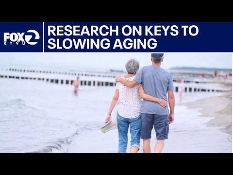 Key to slow aging unlocked by Stanford researchers | KTVU