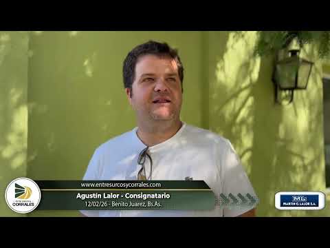 12-02-26 - Agustín Lalor - Consignatario - Benito Juarez, Bs.As.