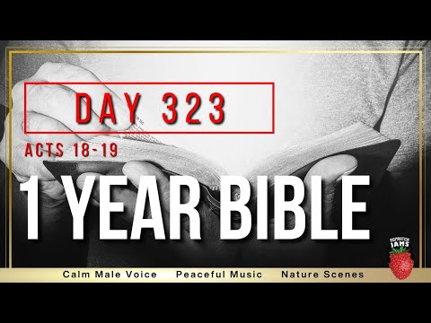 Day 323 | Acts Chapters 18-19 | NIV | One Year Bible