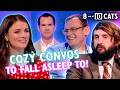 2 Hours Of Comfort Telly To Fall Asleep To 8 Out Of 10 Cats