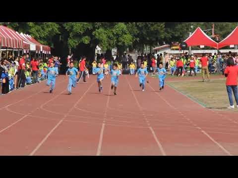Ryan Ko - 100 M Finals about elementary school 3rd grade - Gold medals