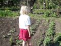 Видеоурок "Колорадский жук" 