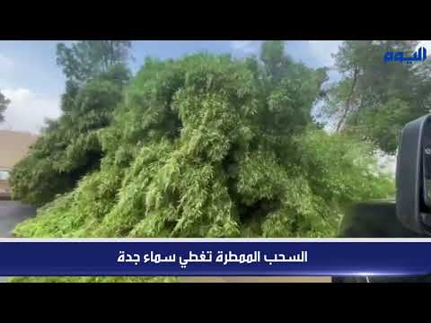 شاهد .. السحب الممطرة ترسل صواعقها في سماء جدة