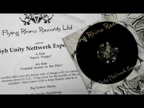 Syb Unity Nettwerk Experience - Limited Access to the Files