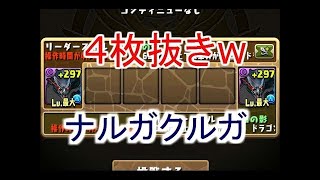 4枚抜きナルガクルガでTA