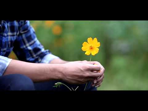 Shivanjaly Patil portfolio video9