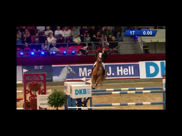 Mother of this Frozen Embryo is the CSI 1.60m jumping Mare Oak Grove’s Americana with rider H. Nano.