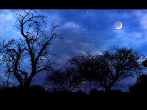 ABESE Hfz, Dževad Šošić Dzamija "Kralj Fahd" Sarajevo