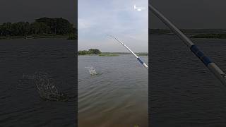 Download lagu Sensasi Tarikan Ikan Liar Memang Bikin Nggak Bisa Tidur mp3 Download lagu Sensasi Tarikan Ikan Liar Memang Bikin Nggak Bisa Tidur mp3