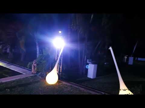 O.M.A - olivier music animation - Petite prestation