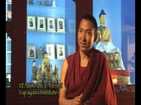 Buddhist in Australia talks about Animals as sentient beings