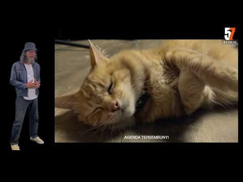 ALIM-ALIM KUCING - MERONGMAHAWANGSA