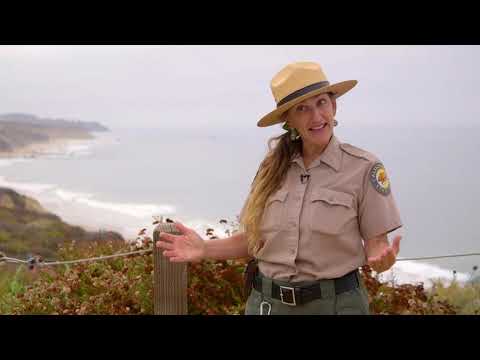 Discovering Crystal Cove