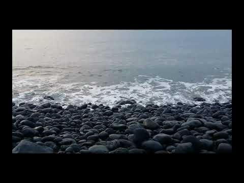 Geführte Meditation zur energetischen Reinigung der inneren Organe