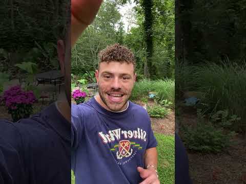 Stop It Before It Happens