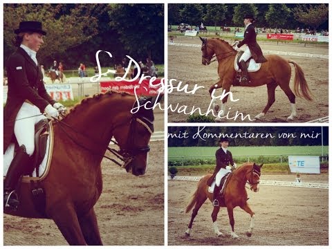 S-Dressur - [Ich kommentiere meine Prüfung selbst]