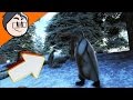 TAMING AS MANY PENGUINS AS WE CAN!? l ARKMON SURVIVAL! TAMING AS MANY PENGUINS AS WE CAN!? l ARKMON SURVIVAL!